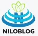 پاورپوینت درمان شبکه ای